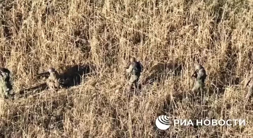 ����� �������� ��� ����� ����������� ��������� � ��������������� ���. ��������� �������� ���������