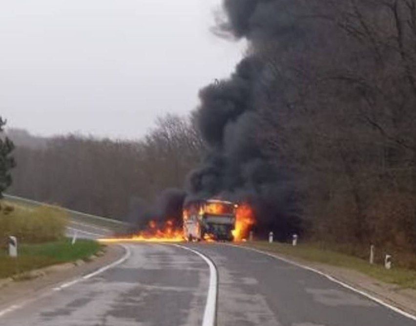 � ������� ��������� ������� � 49 �����������, ������� ����� �� ��������������������� ������ � �������