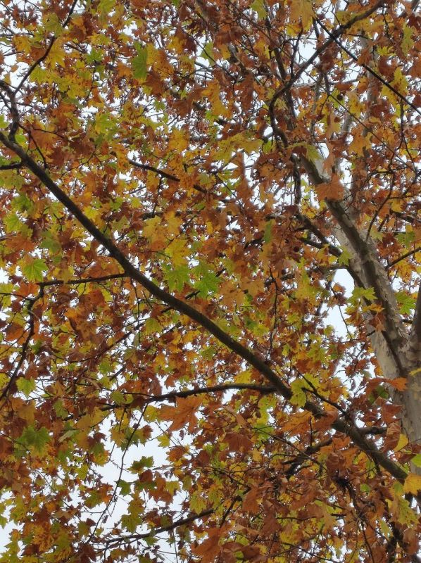 ���� � ��������� ������