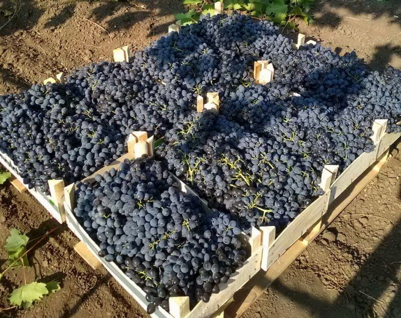 � ������������� ������������ ��� ������