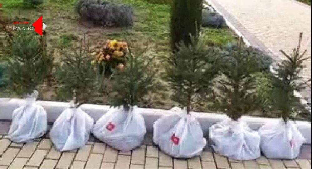 ������������� ������ ������������ �������� ����� 6 ���������� ������