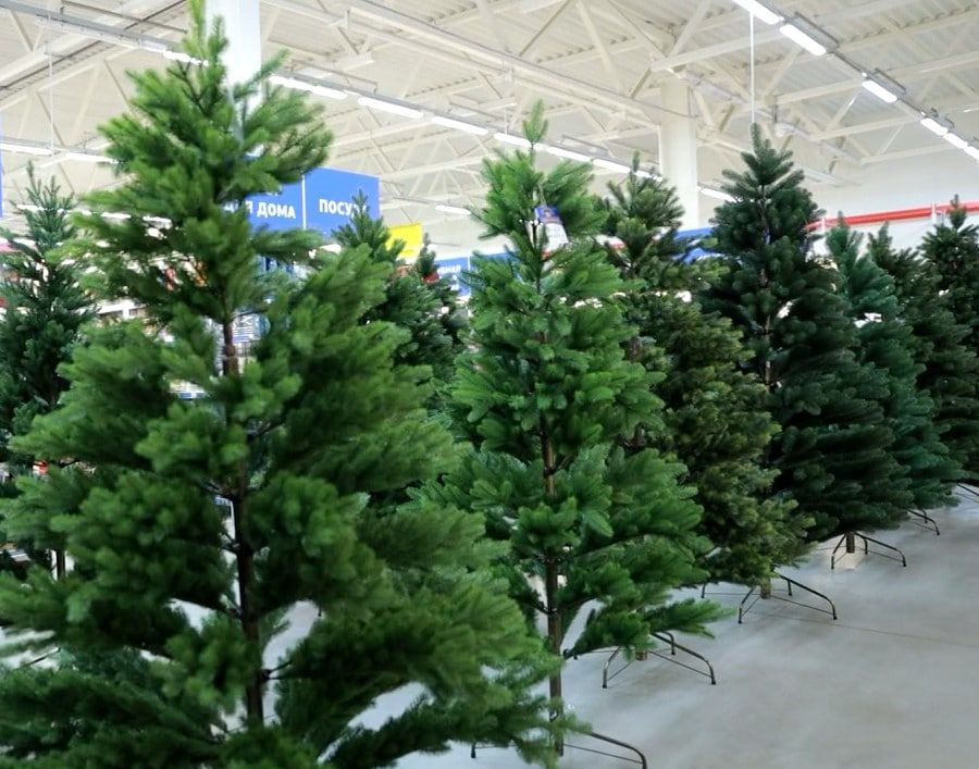 ������� ������������� ���� ������ ��������� �������� ���, ���� ������ �� ���������, ��� �� ����� ����