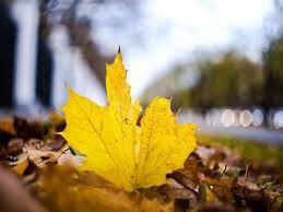 ��� ���� � ��������..