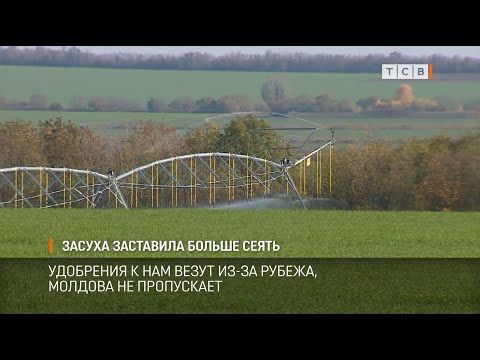 � ���� ���� � ���������� ������� ������ ������ �������. �������������, �� ������� ����� � ������. 5 ����� �������������� �������� ������� � ��� ��������� �� ������ ��������, ������� � �����������