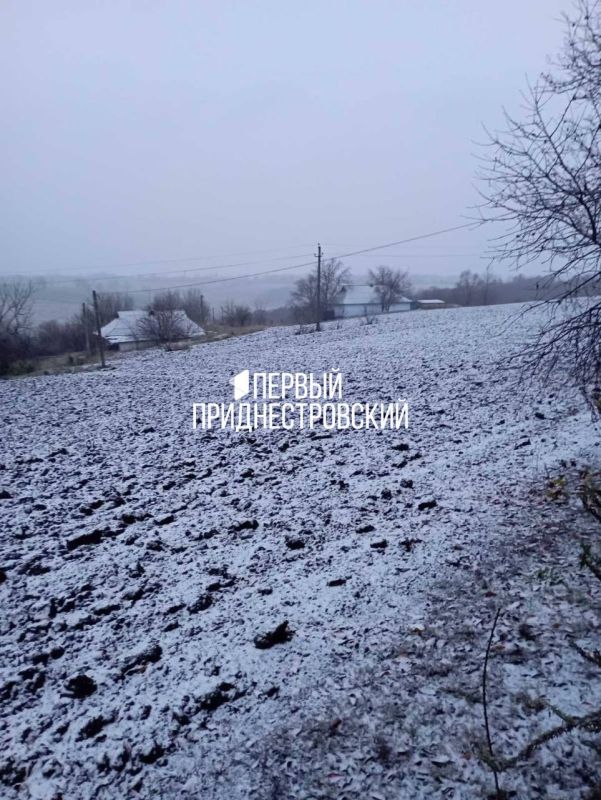 ������ ���� � �������������