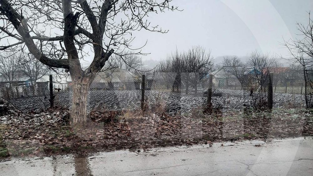 � ������� ����� ������ ����: ����� ������ ������ ��� ������� ����� ������ � �������������, - ��� � ���� � �� ��������