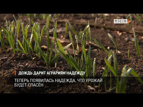 ������� �������, ��� ����, �������� ����� � �������� ��� ������������. �� ��� ��� �� ������ ����� �� ���� ���� ������ �� ������ ������. ������ ��������� �������, ��� ������ ����� ������