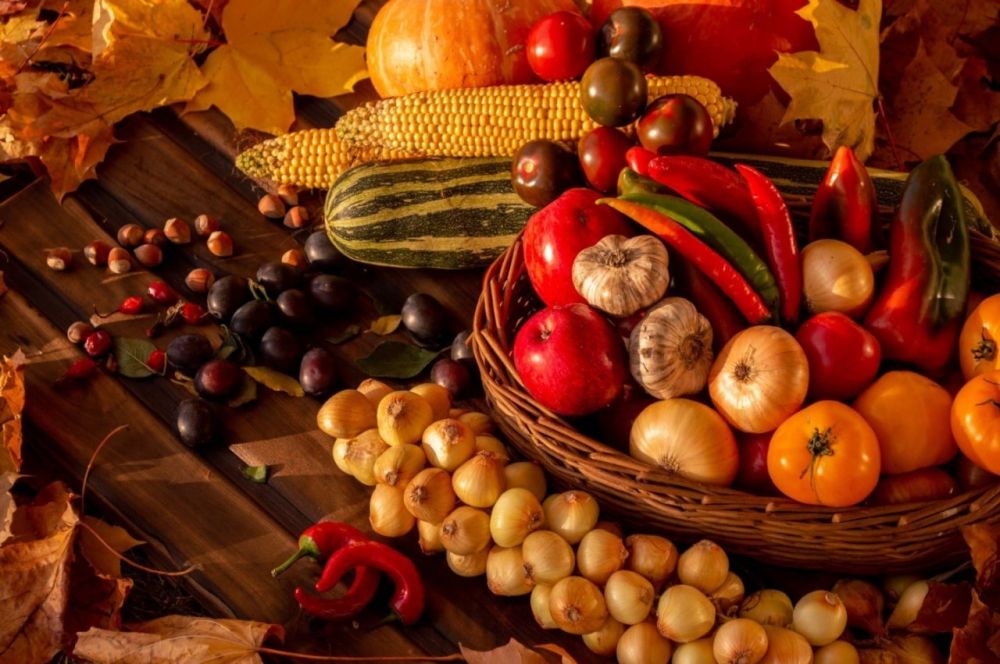 ������������� � ���� ������