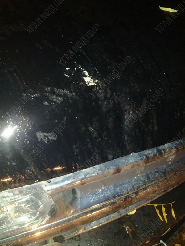 ������������, ������� �� ������