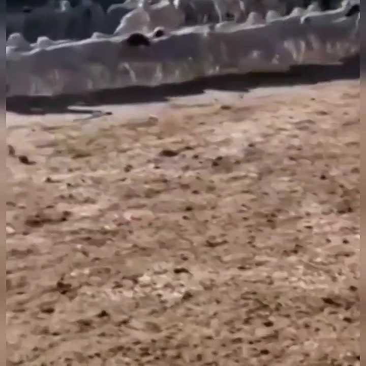 �� ����� �� ���������������� ���� � ��������� ��������� ���� ����� �� ����� ��� ��������� �� ���������� 12 ����