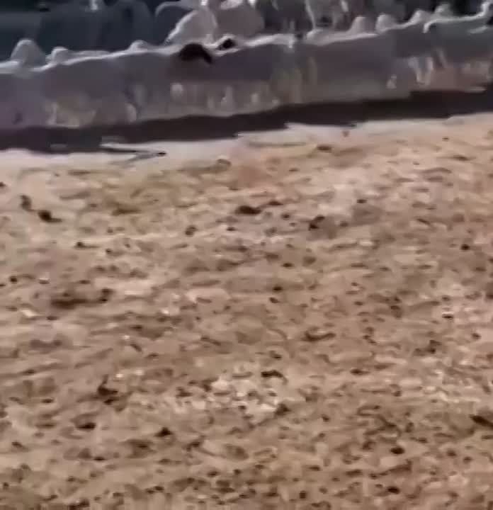 ���� �� ����� � ����� ����� �� ����� ��� ��� 12 ���� ��� ���������