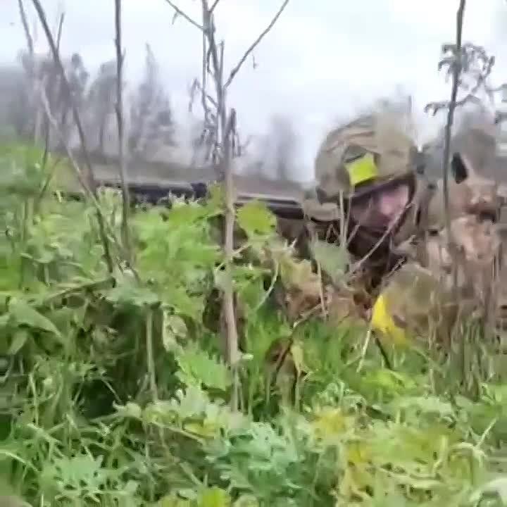 �� �� �������� ��������� ���� �� ����� ��������� ��������� ������� ���������� ��������������