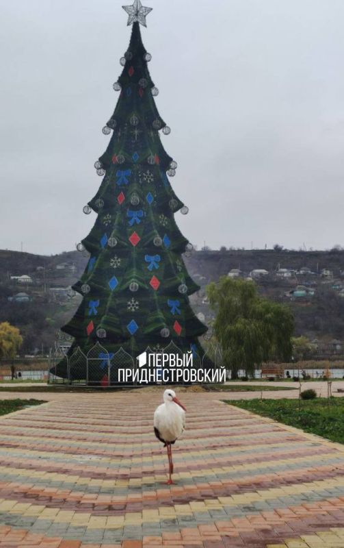 ���� ����� �� ������� ���������� �� ���� ���� � ����������: �� ������ ���� �������� 44 ���