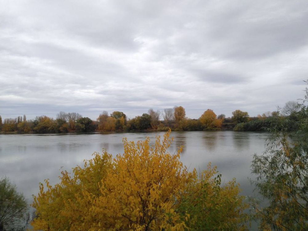 ��������������� ������� �� ������ 18-21 ������