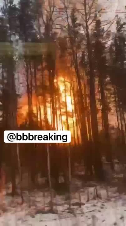 ����� �� ��������� ������ � ����������, ��� ��������� �� �� ��������������� �������