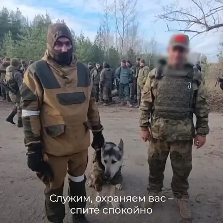 ���������� �� ����, � � ������ ������