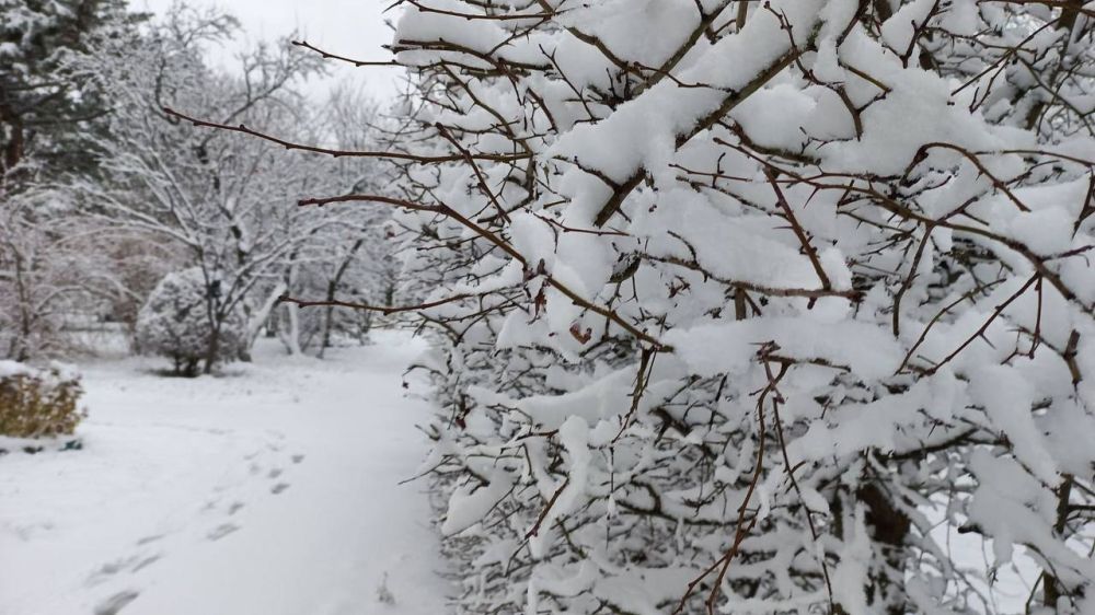 ��� ����� �������. ���� � ��� �������, ��� ���� �� �����. ������������ ���� �� ���