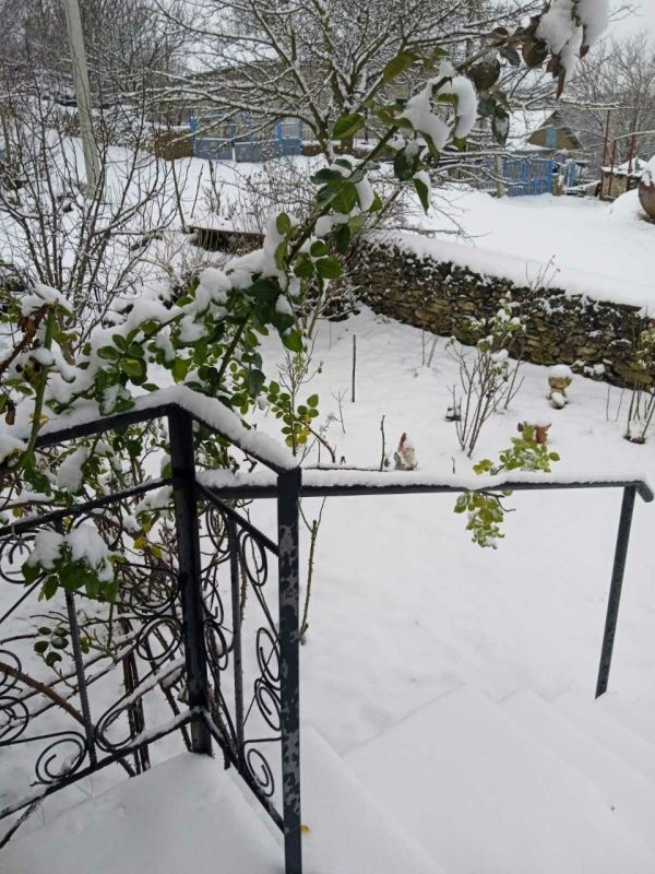 � ���� ���������, ��������� �����, ������ ����� �����