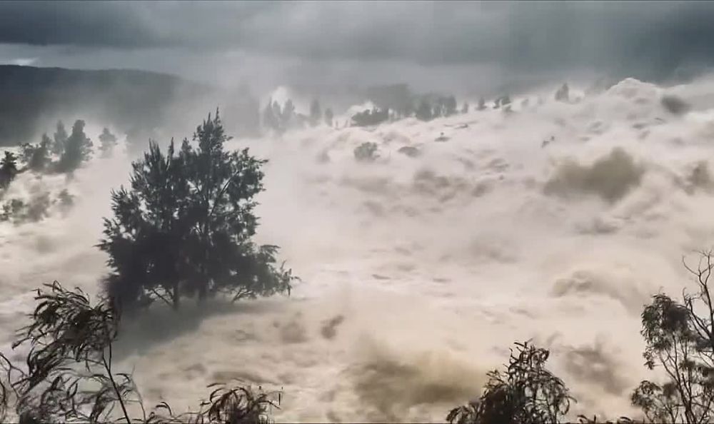 ������� ���������� �� ���-������� ���������