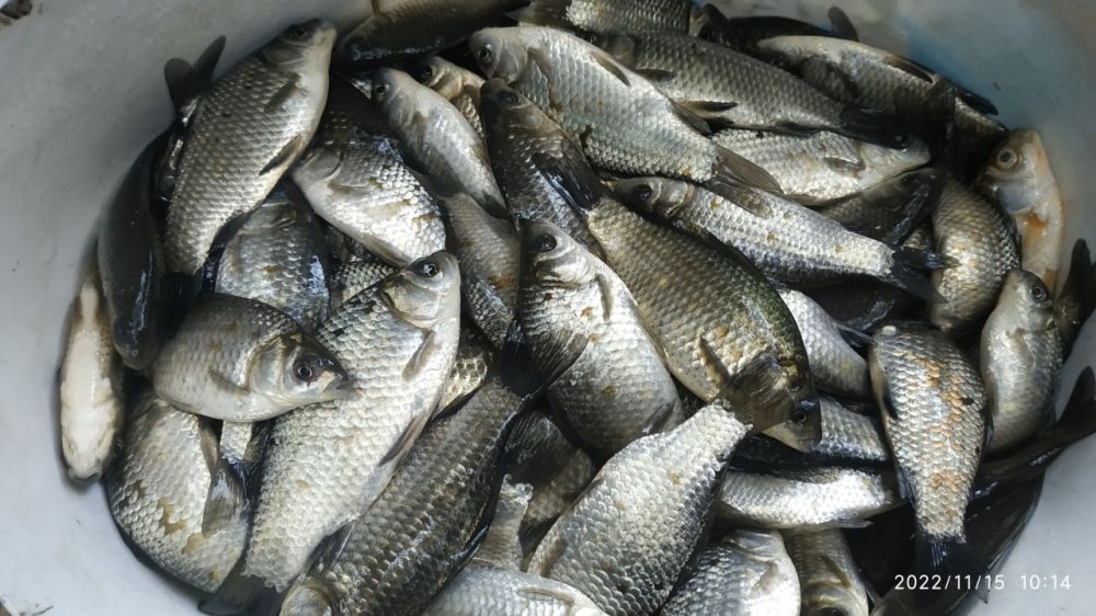 � ������������ ������������� � ���� ������ ���� �������� 2 ����� 420 �� ��������� ������