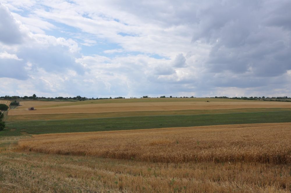 �� ������ ������������ �������������������� ������� � 2022 ����