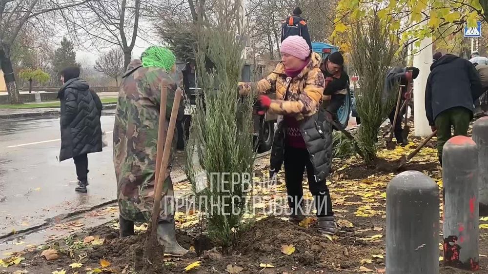 ���������� �����������, � ��� ���������� ������������