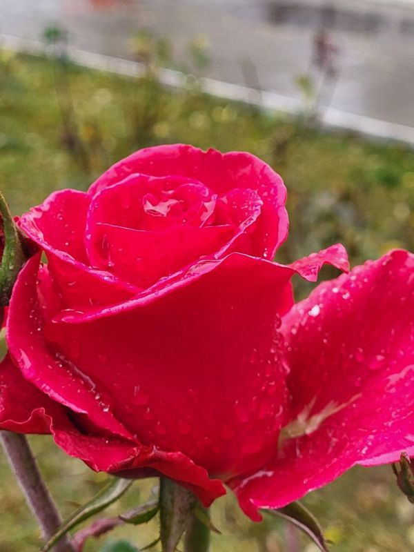 ������ ������.. ���� ���������� �� ���������