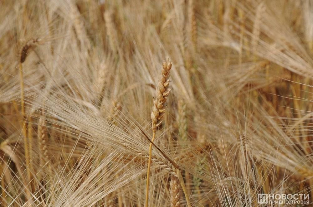 ����� � ������ ������ ��� ����������� ����� � �� �������