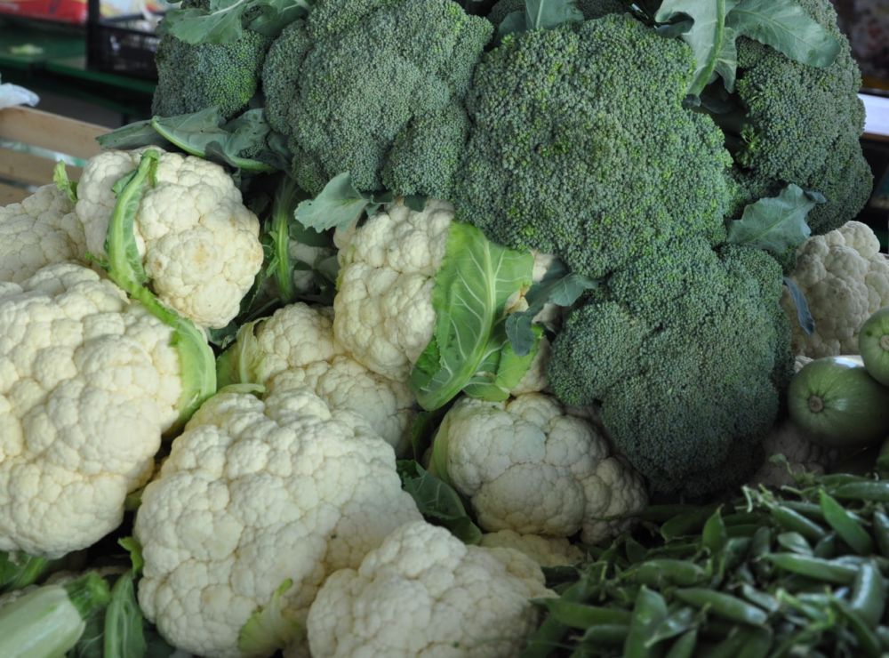 �� ������ ������������ �������������������� ������� � 2022 ����