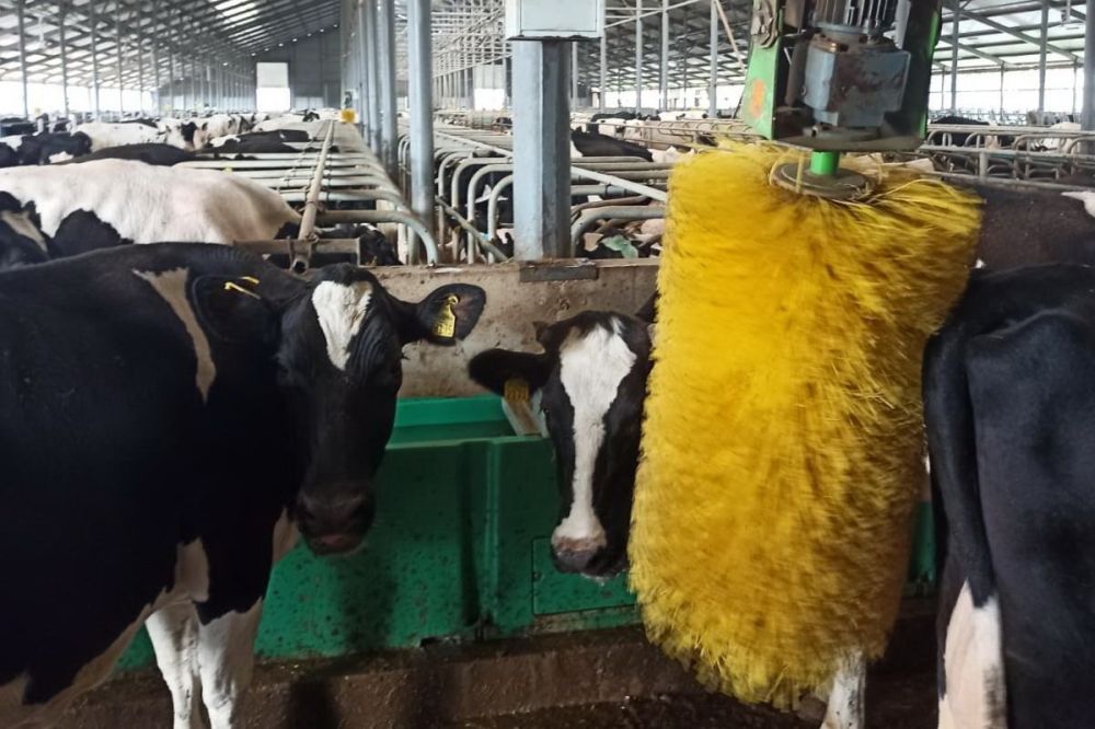 �� ������ ������������ �������������������� ������� � 2022 ����