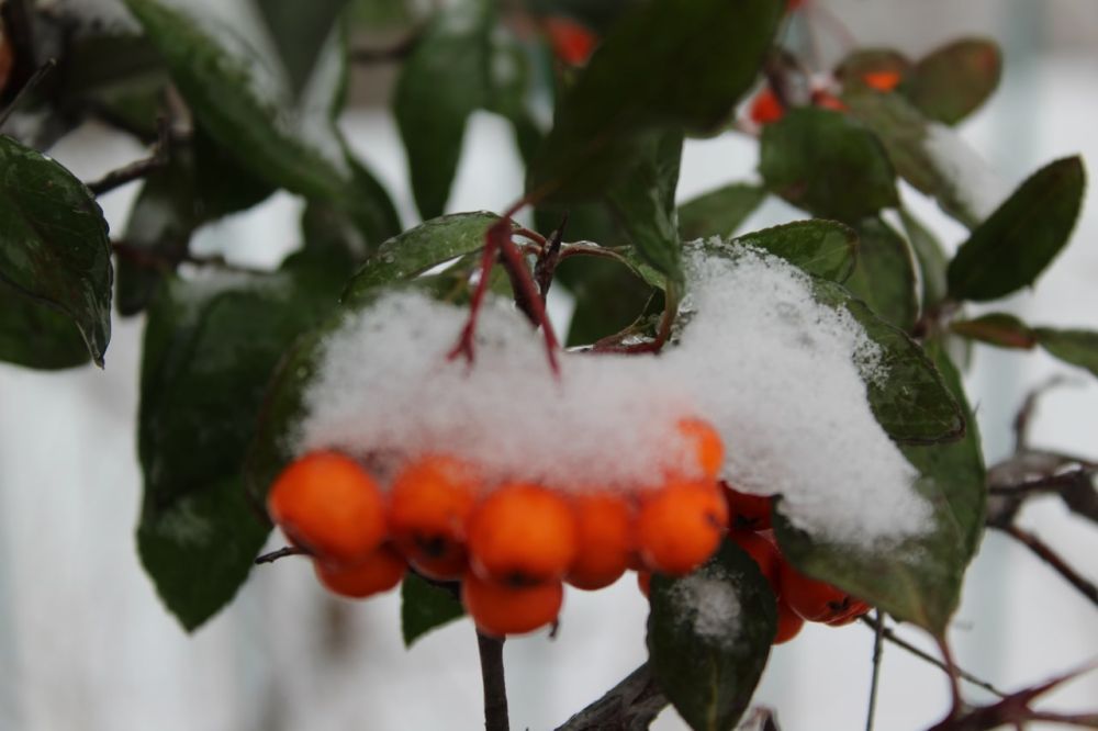 ������ ���� � ������������� ��� �����