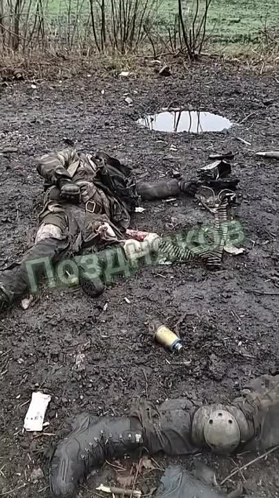 ����� ������ 18+. ���������� ���������� ���������� ���������� ��� �� ��������� �����������