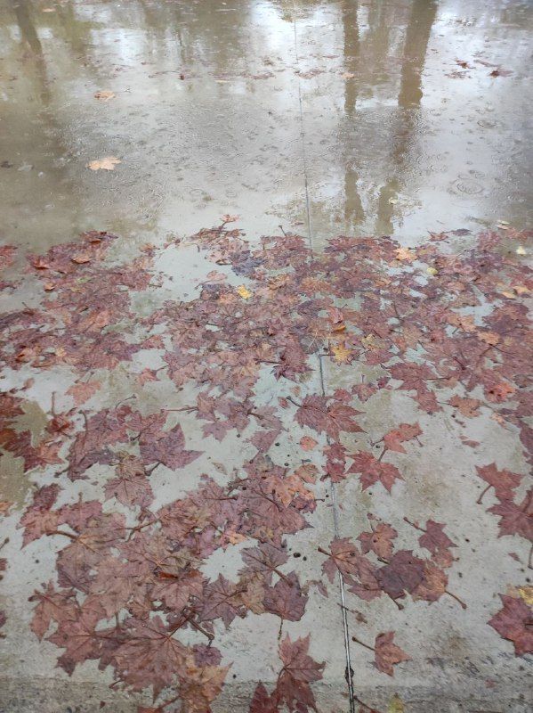 ��������� ������� ��� ��� �����