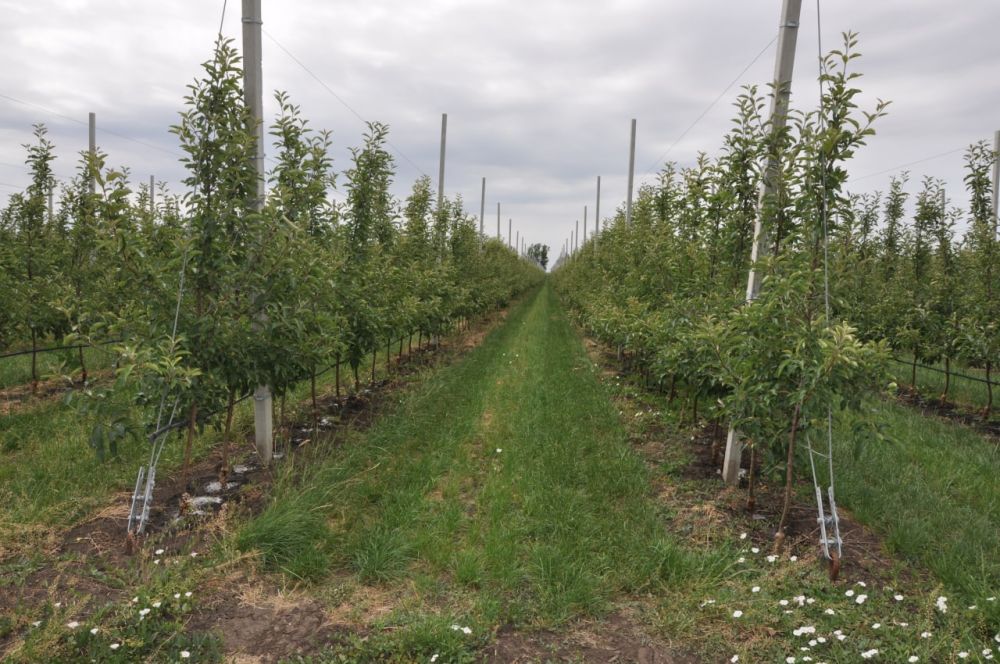 �� ������ ������������ �������������������� ������� � 2022 ����