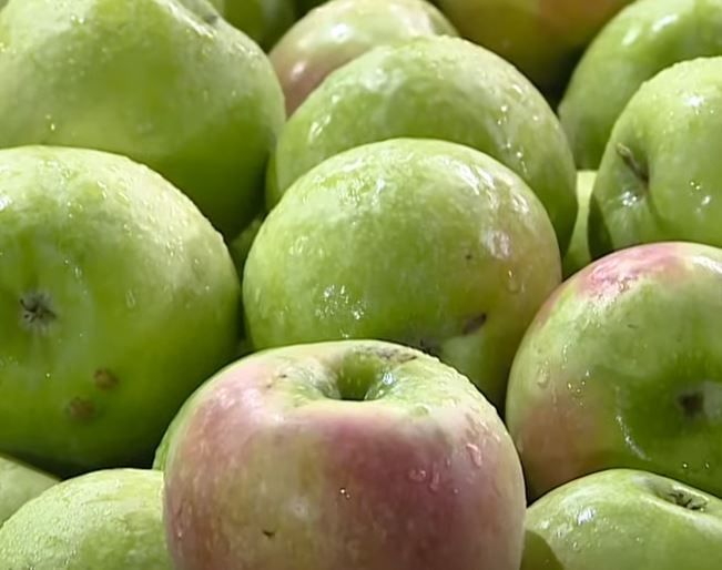 �� ������ ������������ �������������������� ������� � 2022 ����