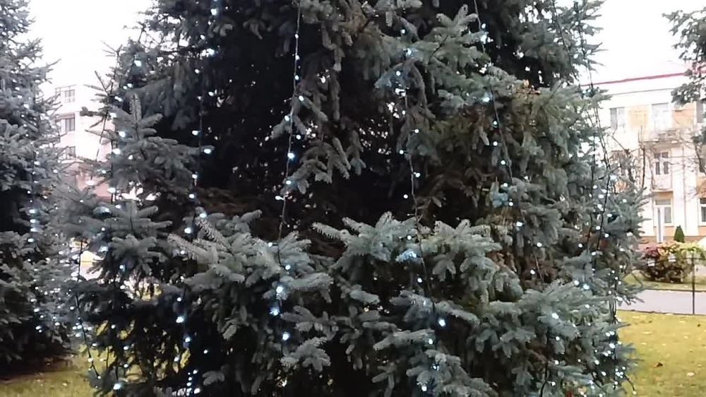 ���� � ��������� ���������������� ��� ��������, �������� ������ "������������ ������"