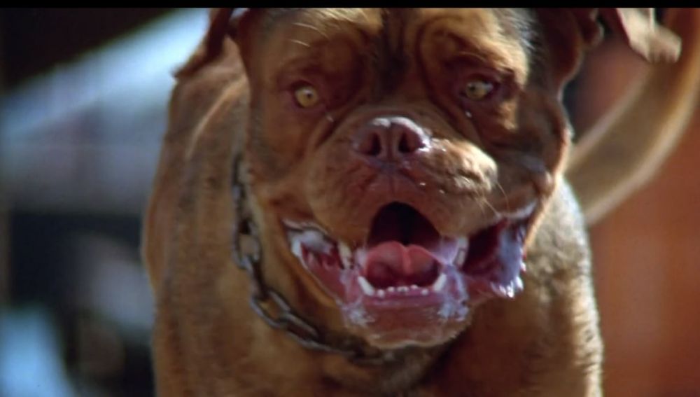 ��������� ��� ������ ������ � ��������