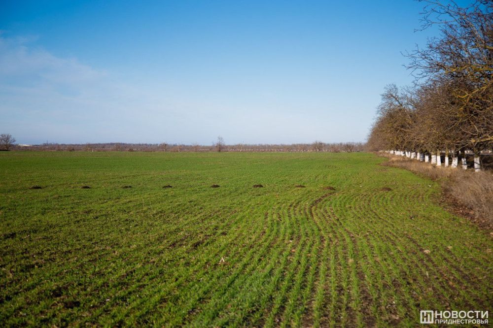 40 ��������� ������������ ������������� ��������� ��������