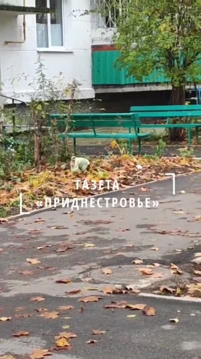 �� ����� �������. ��-�������. � �� �����������, ���� �� ����