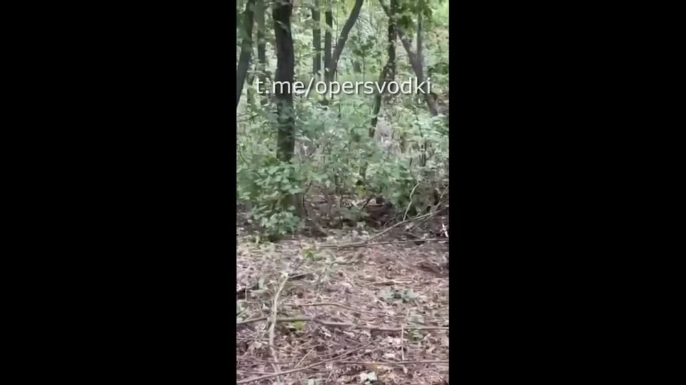 ��������� ��� ���� ����� � ��������� ���������� ���������� �������������