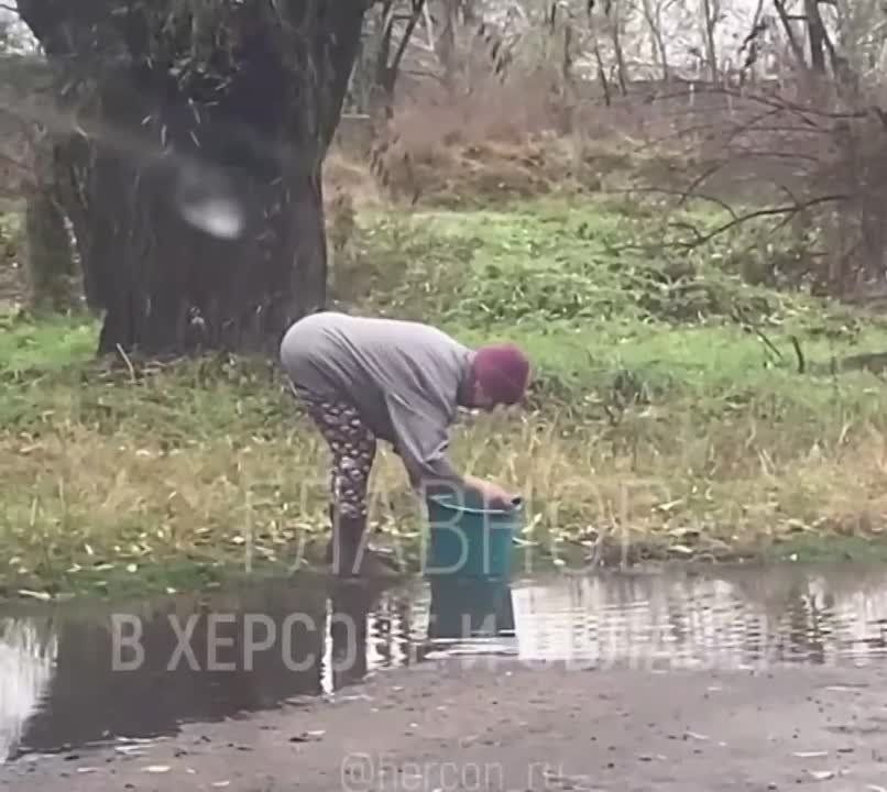 � ������� ������������ ����������