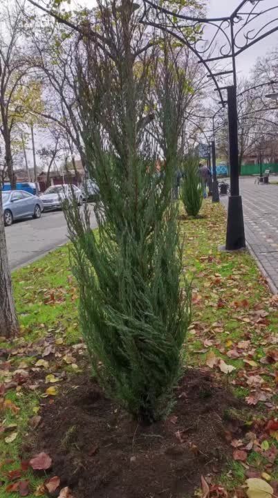 �� �������� �������� �������� ��������� ������������