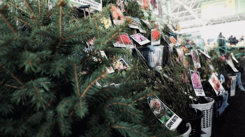 � ��������� �� ������ ����� ����� � ������ ������� ����