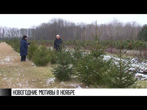 ���� ��� ������ � ���������� ��������� �������