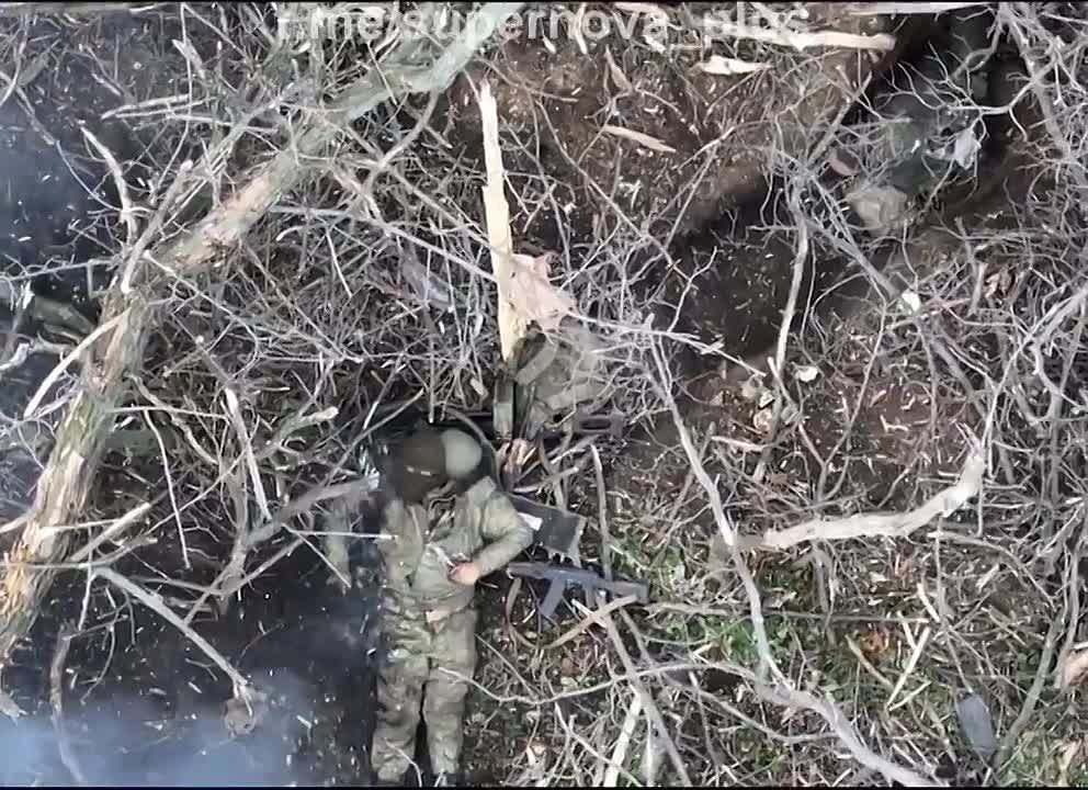 �����, ������� ����� �����������, �� ��� �����, ��� ������� �� ���������� ����������� ���� ������� �������, �� ��������� ����, ��� ��� ����� ����� � ����, �������� ��� ���� �� ����� ������ ���� ���� � ������