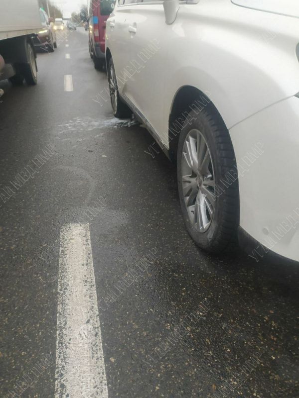 � ��������� ������ ���� �����������