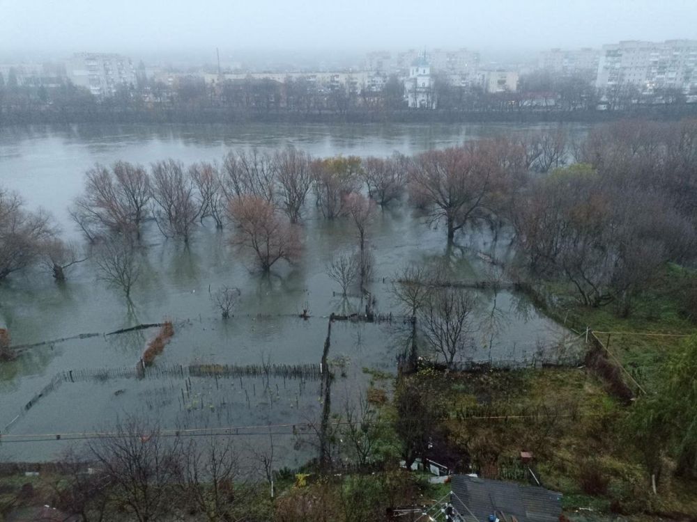 ������� ������ ������� �������