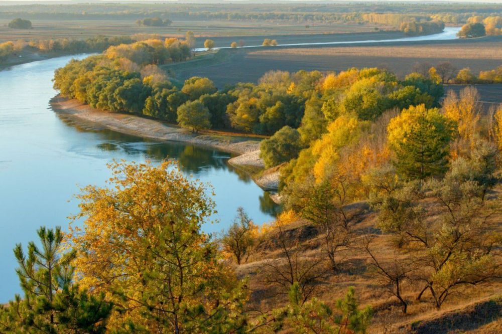 ������� ���� � ������� ����� ���������