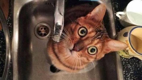 ������� �������� ����� ���������� ���������� �������������� ����� �������� � ������������ ���� � ��� ����, ������� ��� �������� ��� �����