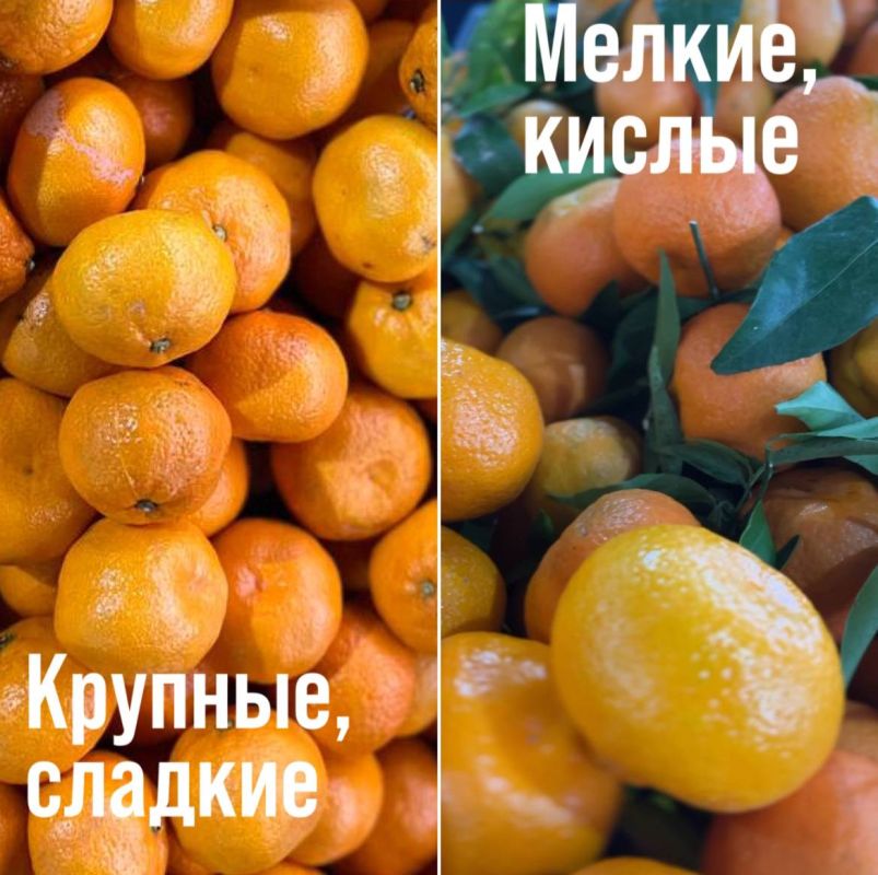 ����� ���������� ������. �� ������ ����� ��������� �� 27 �� 30 ������ �� ���������